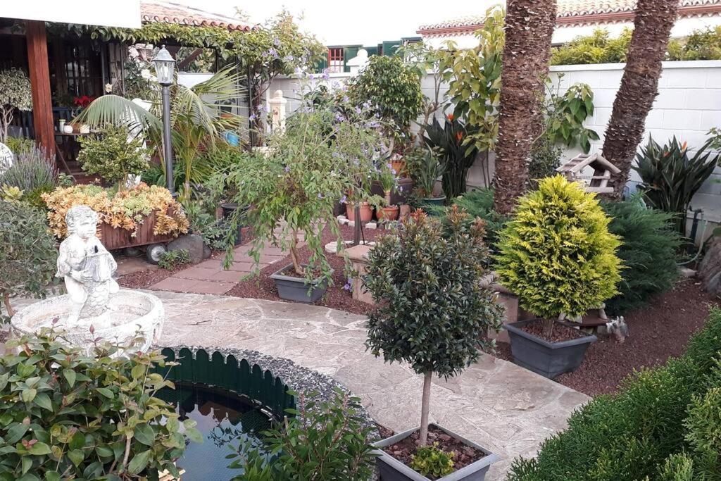 Apartamento Tranquilo En Una Casa Con Jardin San Cristóbal de La Laguna Exterior foto
