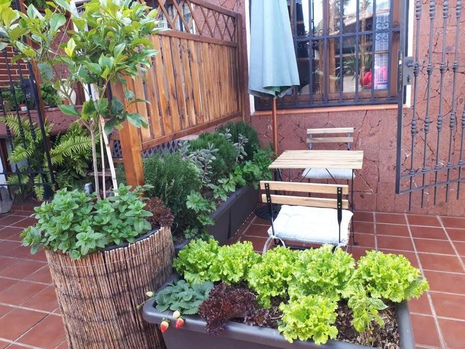 Apartamento Tranquilo En Una Casa Con Jardin San Cristóbal de La Laguna Exterior foto